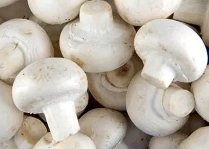Mushroom farming in 40 Districts, imports exceed Rs 150 million